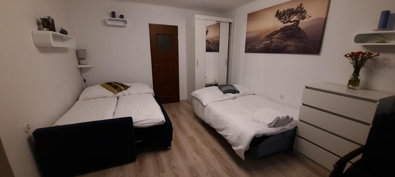 Apartament Domek nad Potokiem Slotwiny Zewnętrze zdjęcie