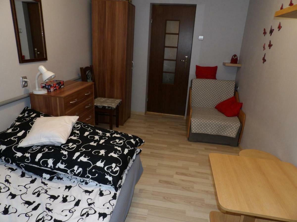 Apartament Domek nad Potokiem Slotwiny Zewnętrze zdjęcie